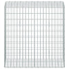 Gabion 3,5 mm Langasta ja 5x10 cm Verkkosta 50x100x100 cm