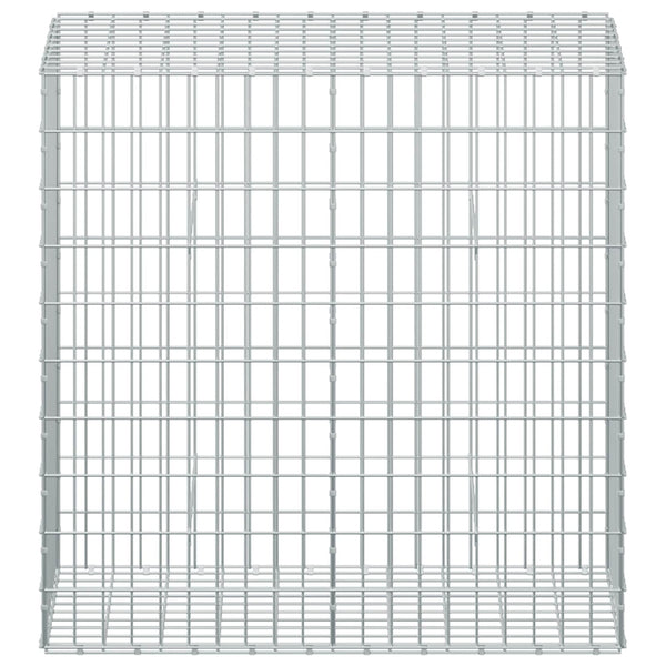 Gabion 3,5 mm Langasta ja 5x10 cm Verkkosta 50x100x100 cm