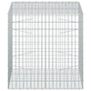 Gabion 3,5 mm Langasta ja 5x10 cm Verkkosta 100x100x100 cm