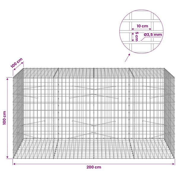 Gabion 3,5 mm Langasta ja 5x10 cm Verkkosta 200x100x100 cm