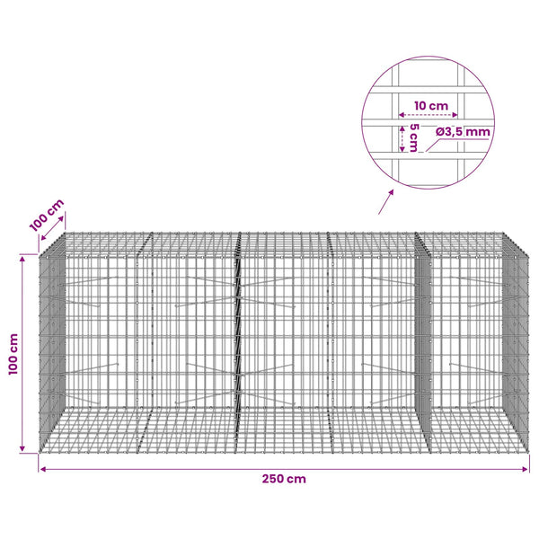 Gabion 3,5 mm Langasta ja 5x10 cm Verkkosta 250x100x100 cm