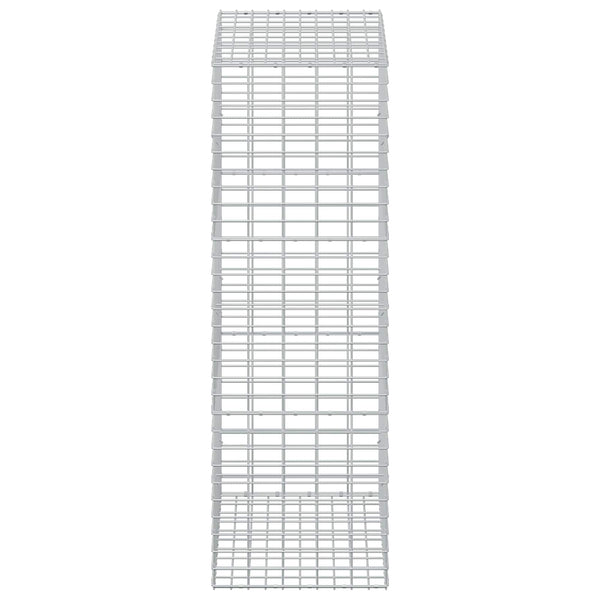 Gabion 3,5 mm Langasta ja 5x10 cm Verkkosta 50x100x150 cm