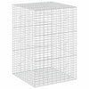 Gabion 3,5 mm Langasta ja 5x10 cm Verkkosta 100x100x150 cm