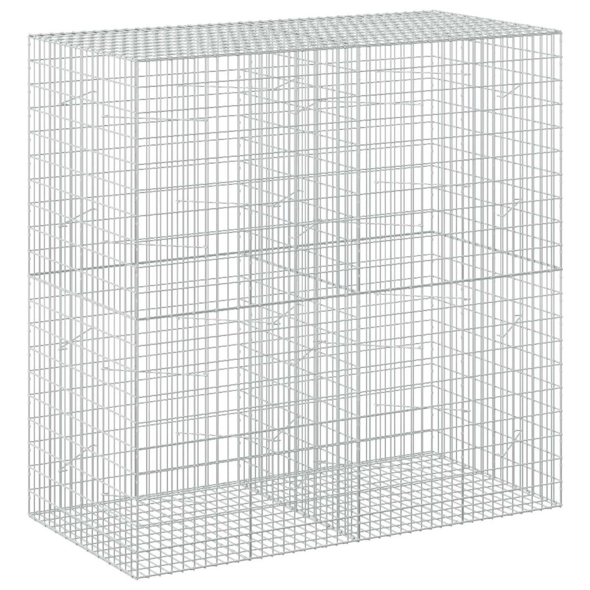 Gabion 3,5 mm Langasta ja 5x10 cm Verkkosta 200x100x200 cm