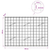 Gabion 3,5 mm langasta ja 10x10 cm verkosta 150x10x100 cm