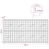 Gabion 3,5 mm langasta ja 10x10 cm verkosta 200x10x100 cm