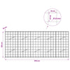 Gabion 3,5 mm langasta ja 10x10 cm verkosta 250x10x100 cm