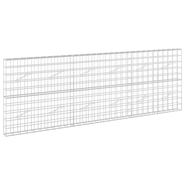 Gabion 3,5 mm langasta ja 10x10 cm verkosta 300x10x100 cm