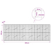 Gabion 3,5 mm langasta ja 10x10 cm verkosta 300x10x100 cm