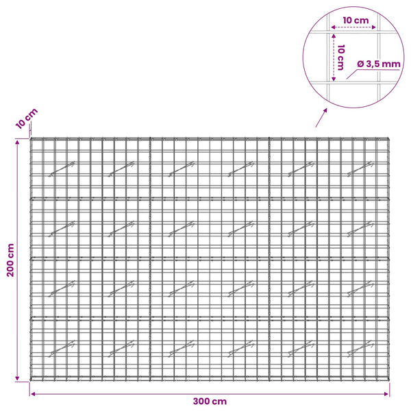 Gabion 3,5 mm langasta ja 10x10 cm verkosta 300x10x200 cm