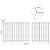 Gabion 3,5 mm langasta ja 10x10 cm verkosta 450x20x100 cm