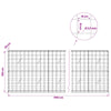 Gabion 3,5 mm langasta ja 10x10 cm verkosta 1150x20x100 cm