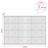 Gabion 3,5 mm langasta ja 10x10 cm verkosta 300x20x200 cm