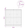 Gabion 3,5 mm langasta ja 10x10 cm verkosta 100x30x100 cm