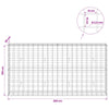 Gabion 3,5 mm langasta ja 10x10 cm verkosta 200x30x100 cm