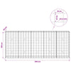Gabion 3,5 mm langasta ja 10x10 cm verkosta 250x30x100 cm