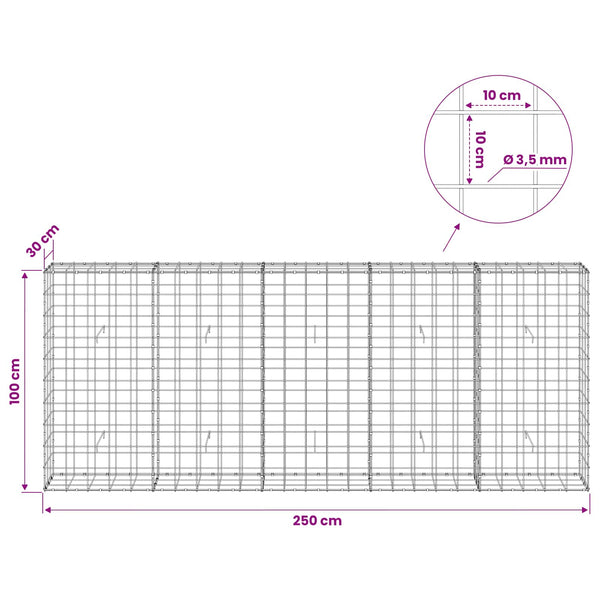 Gabion 3,5 mm langasta ja 10x10 cm verkosta 250x30x100 cm