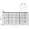 Gabion 3,5 mm langasta ja 10x10 cm verkosta 450x30x200 cm