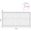 Gabion 3,5 mm langasta ja 10x10 cm verkosta 200x50x100 cm