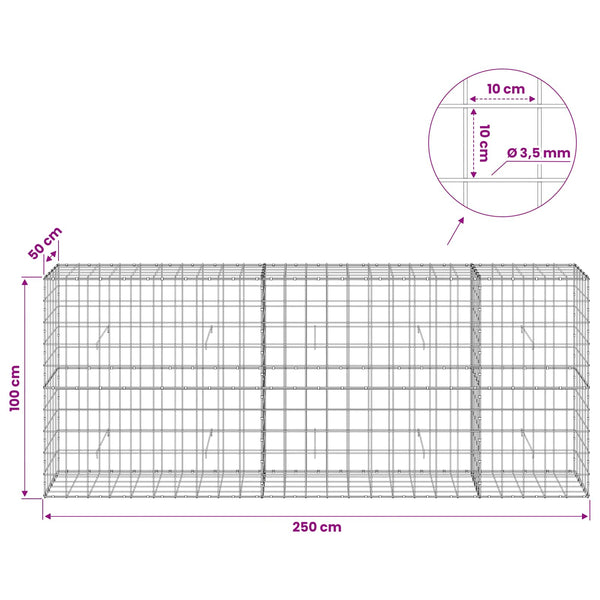 Gabion 3,5 mm langasta ja 10x10 cm verkosta 250x50x100 cm