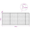 Gabion 3,5 mm langasta ja 10x10 cm verkosta 350x50x150 cm
