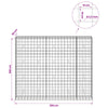 Gabion 3,5 mm langasta ja 10x10 cm verkosta 250x50x200 cm