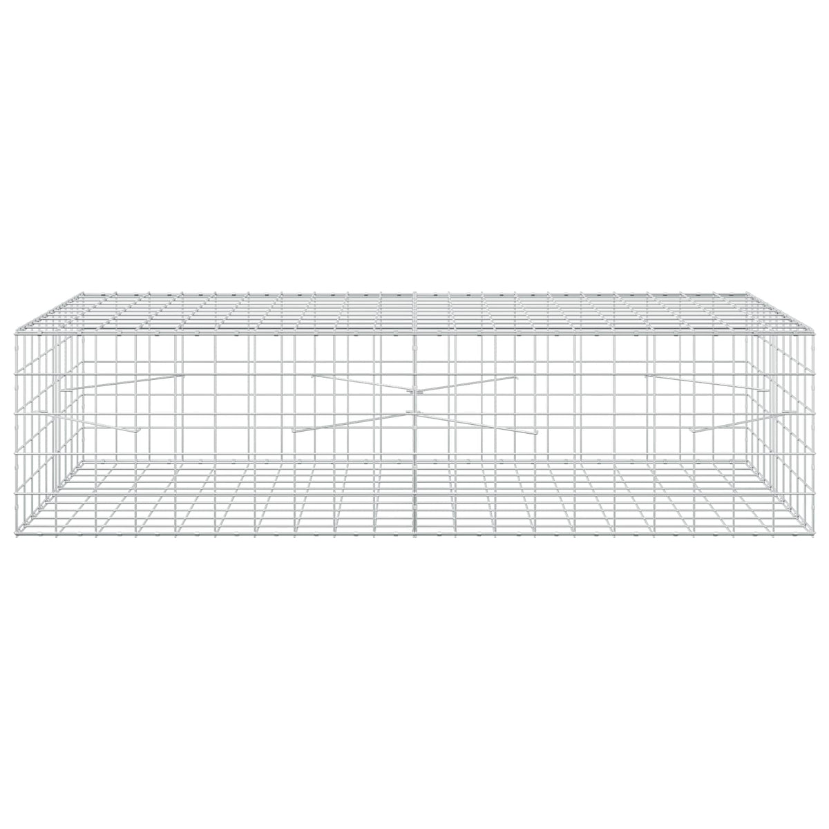 Gabion 3,5 mm langasta ja 10x10 cm verkosta 200x100x50 cm