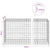 Gabion 3,5 mm langasta ja 10x10 cm verkosta 800x100x100 cm