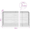 Gabion 3,5 mm langasta ja 10x10 cm verkosta 1000x100x100 cm