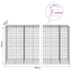 Gabion 3,5 mm langasta ja 10x10 cm verkosta 850x100x200 cm