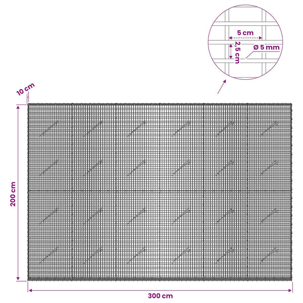 Gabion 5 mm langasta ja 5x2,5 cm verkosta 300x10x200 cm