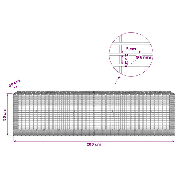 Gabion 5 mm langasta ja 5x2,5 cm verkosta 200x30x50 cm