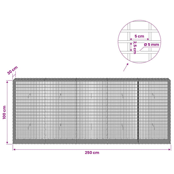 Gabion 5 mm langasta ja 5x2,5 cm verkosta 250x30x100 cm