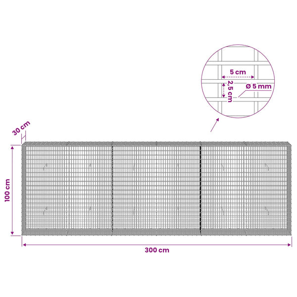 Gabion 5 mm langasta ja 5x2,5 cm verkosta 300x30x100 cm