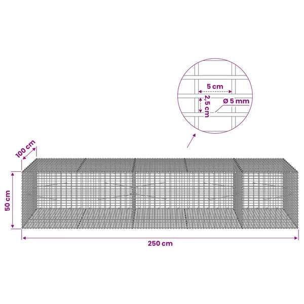 Gabion 5 mm langasta ja 5x2,5 cm verkosta 250x100x50 cm
