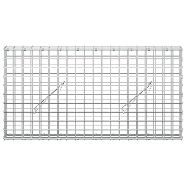 Gabion 5 mm langasta ja 5x5 cm verkosta 100x10x50 cm