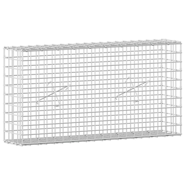 Gabion 5 mm langasta ja 5x5 cm verkosta 100x20x50 cm