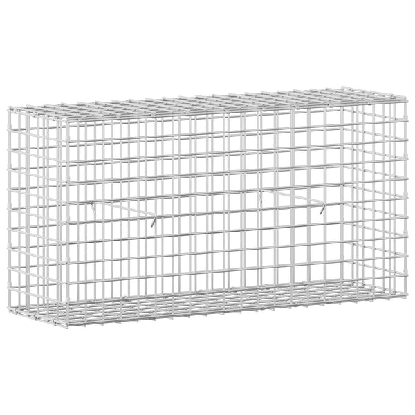Gabion 5 mm langasta ja 5x5 cm verkosta 100x30x50 cm