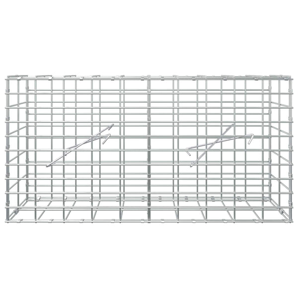 Gabion 5 mm langasta ja 5x10 cm verkosta 100x10x50 cm