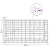 Gabion 5 mm langasta ja 5x10 cm verkosta 100x10x50 cm