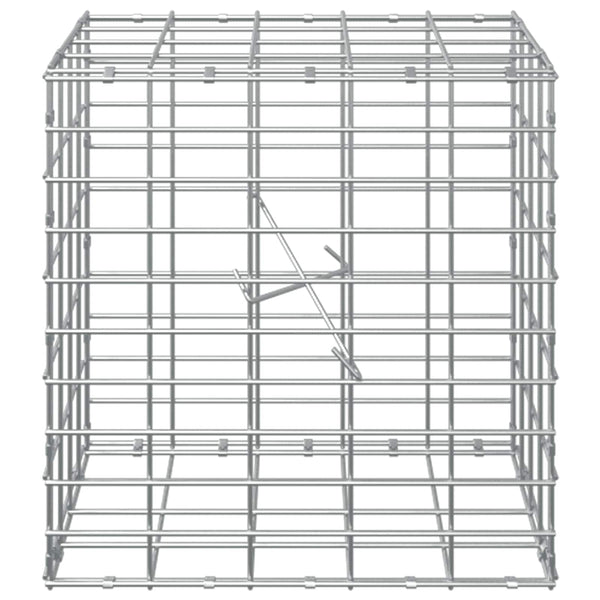 Gabion 5 mm langasta ja 5x10 cm verkosta 50x20x50 cm