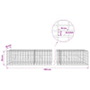 Gabion 5 mm langasta ja 5x10 cm verkosta 700x20x50 cm