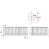 Gabion 5 mm langasta ja 5x10 cm verkosta 1000x20x50 cm