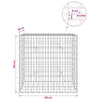 Gabion 5 mm langasta ja 5x10 cm verkosta 100x20x100 cm