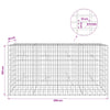 Gabion 5 mm langasta ja 5x10 cm verkosta 200x20x100 cm
