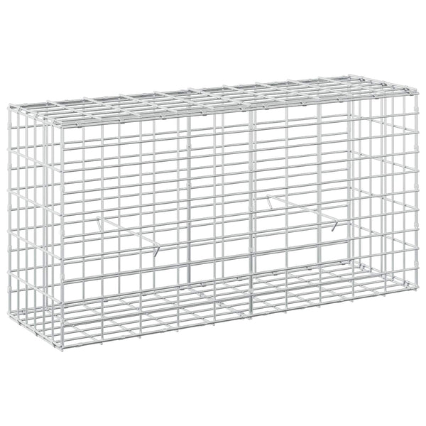 Gabion 5 mm langasta ja 5x10 cm verkosta 100x30x50 cm