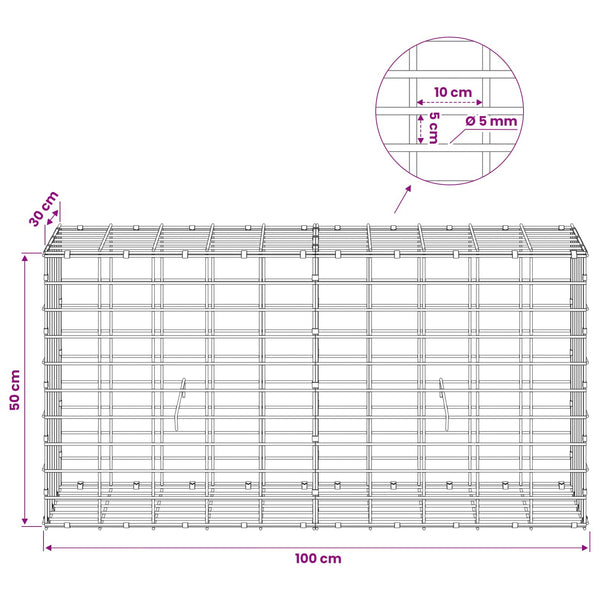 Gabion 5 mm langasta ja 5x10 cm verkosta 100x30x50 cm