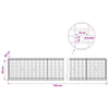 Gabion 5 mm langasta ja 5x10 cm verkosta 750x30x50 cm