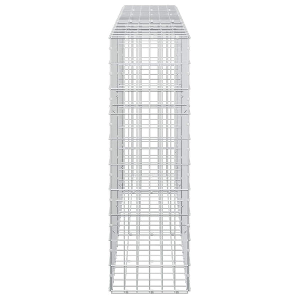 Gabion 5 mm langasta ja 5x10 cm verkosta 250x30x100 cm
