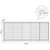 Gabion 5 mm langasta ja 5x10 cm verkosta 250x30x100 cm